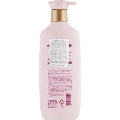 ������� LG ReEn Baekdanhyang Shampoo ��� ������ ����� 500 �� (8801051154542) - �������� 2