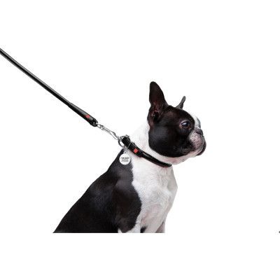 ������ ��� ����� WAUDOG Glamour ������� XS d 8 �� � 122 �� ������ (33771) - �������� 4