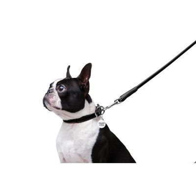 ������ ��� ����� WAUDOG Glamour ������� XS d 8 �� � 122 �� ������ (33771) - �������� 6