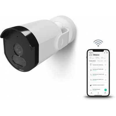 ������ ��������������� TSL-CAM-BULLET8S Tesla - �������� 8