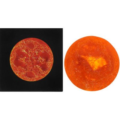 ������ ���� Tsukerka �������� 100 � (2000000000367/4820266831134) - �������� 1