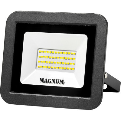 ��������� MAGNUM FL ECO LED 50�� slim 6500� IP65 (90011661) - �������� 1