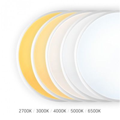 ���������� Videx VL-CLR-EM300-2 - �������� 8