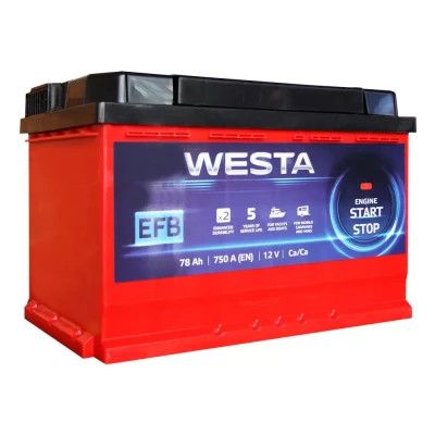 ����������� ������������� Westa 6CT-78 � RED EFB - �������� 1