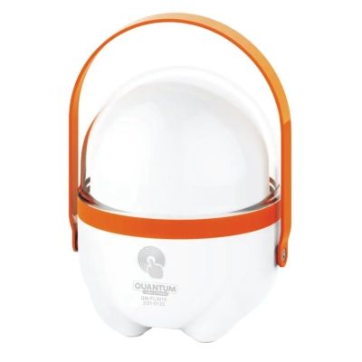 ˳���� Quantum Pretty LED + �icro USB ������ (QM-FL3010) - �������� 1