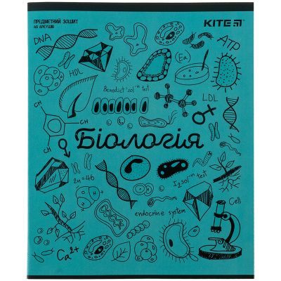 ����� Kite ���������� Sketch 48 �������, ������ ������� (K24-240-17) - �������� 1