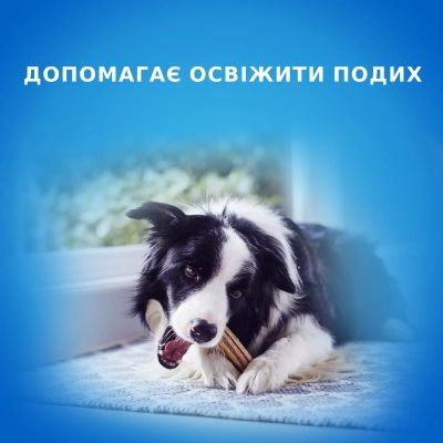 ������ ��� ����� Purina DentaLife Small ��� �������� ������'� ��������� ���� 115 � (8445291614550) - �������� 2
