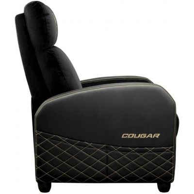 ������ ������� Cougar Ranger Elite Gold - �������� 6