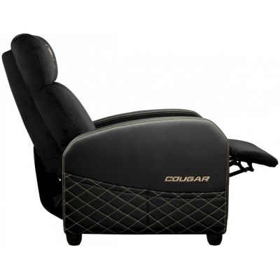 ������ ������� Cougar Ranger Elite Gold - �������� 7