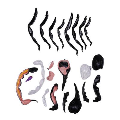 ���� 4D Master Master �������� (FM-622033) - �������� 5