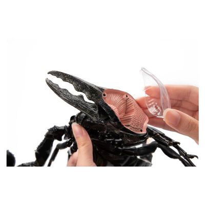 ���� 4D Master Master �������� (FM-622033) - �������� 7