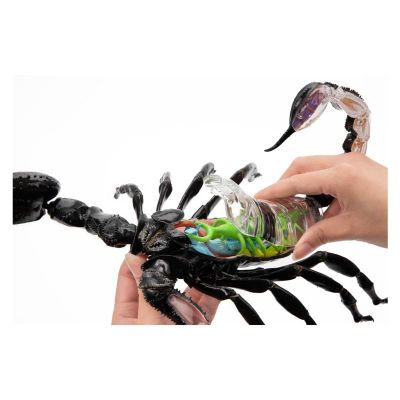 ���� 4D Master Master �������� (FM-622033) - �������� 8