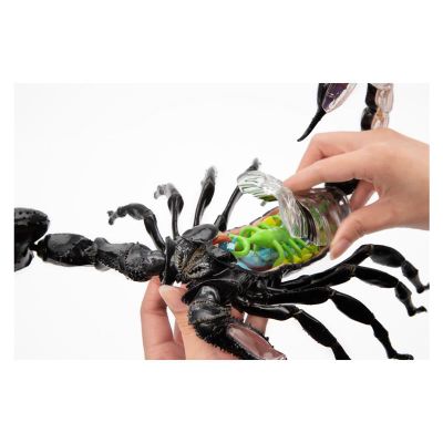 ���� 4D Master Master �������� (FM-622033) - �������� 9