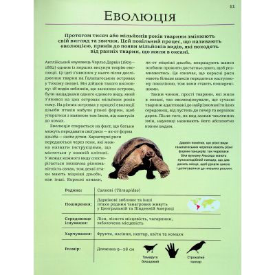 ����� ������ ����� ������ - ������ ����� Vivat (9786171704794) - �������� 11