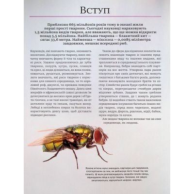 ����� ������ ����� ������ - ������ ����� Vivat (9786171704794) - �������� 4