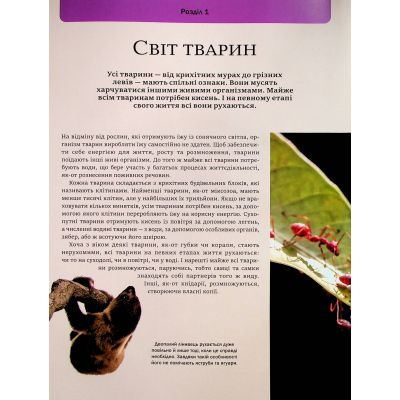 ����� ������ ����� ������ - ������ ����� Vivat (9786171704794) - �������� 6