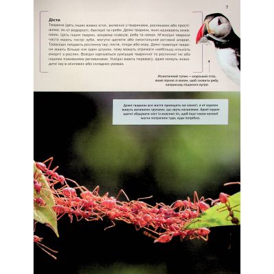 ����� ������ ����� ������ - ������ ����� Vivat (9786171704794) - �������� 7