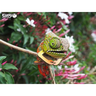 ���� Eugy 3D ������� �������� (XEG-075) - �������� 6