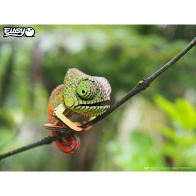 ���� Eugy 3D ������� �������� (XEG-075) - �������� 7