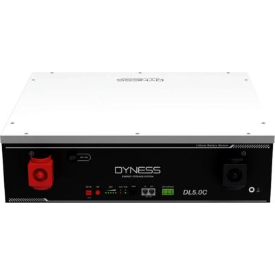 ������� ��� ��� ������� LiFePo4 Dyness 48V - 100 Ah (DL5.0C) - �������� 1
