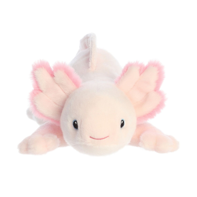 ������ ������� Aurora ECO ��������� 31 �� (220183A) - �������� 2