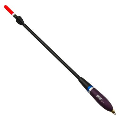 �������� Brain BF10 4+2gr. (1858.60.27) - �������� 1