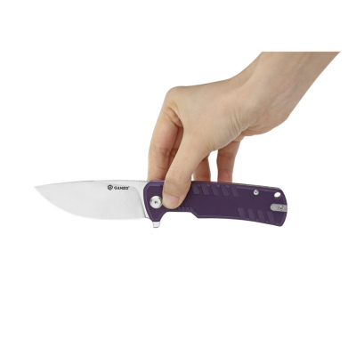 ͳ� Ganzo G769-PL - �������� 5