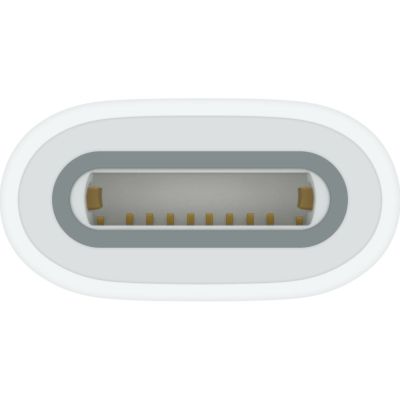 ������� Apple USB-C to Apple Pencil Adapter (MWML3ZM/A) - �������� 3