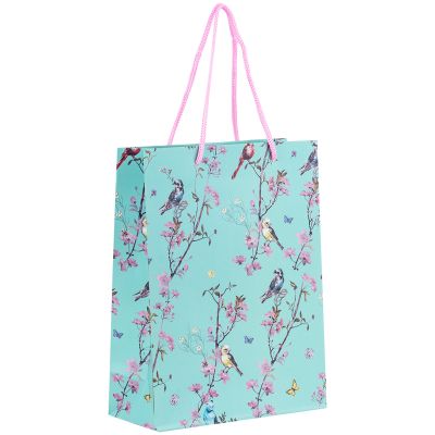 ���������� ����� Axent �������� Olga Selyshcheva, Spring 18�24 �� (8501-21-A-OS) - �������� 1