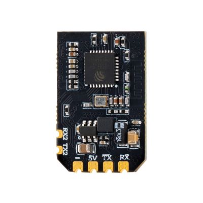 �������� (RX) RadioMaster X-3 Nano Multi-Frequency Antenna Diversity ExpressLRS (X-3) - �������� 3