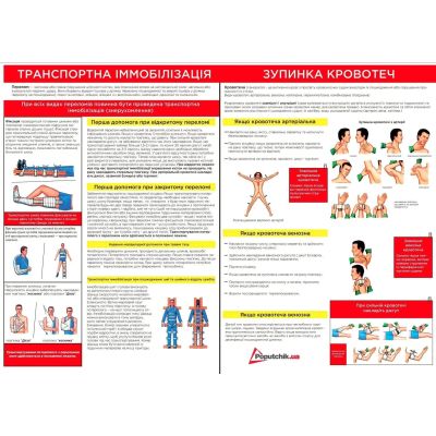 ����������� ������� Poputchik 02-005-� - �������� 4