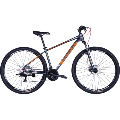 ��������� Discovery 29" Bastion AM DD ����-17" Al ���-������������ 2025 (OPS-DIS-29-200) - �������� 1