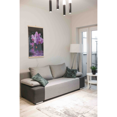 ������� Trio Գ�������� ������ (RL075580) - �������� 2