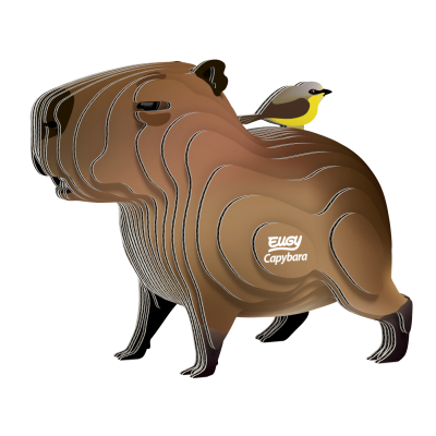 ���� Eugy 3D �������: ������� (XEG-120) - �������� 1