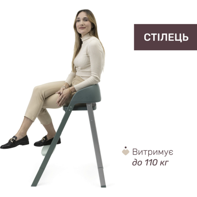 �������� ��� ��������� Chicco 3 � 1 Crescendo Up ������� (87046.87) - �������� 5