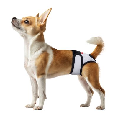 ó㳺����� ����� ��� ����� WAUDOG Vet �� �������� XL �� (678511) - �������� 3