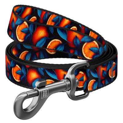 ������� ��� ����� WAUDOG Nylon "���������" S, � 15 ��, � 300 �� (760-4054) - �������� 1