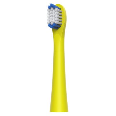 ������� ��� ������ ����� Prooral 2947 - �������� 1