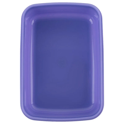  -  Kite Rachael Hale, 420  (R25-160) -  3