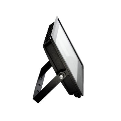 ��������� ��������� ZUM F02-50 6400K - �������� 3