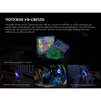 ˳���� Fenix E06R ���� (E06RGray) - �������� 10