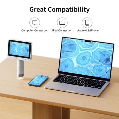 ��������� Xiaomi BeaverLAB DDL-M2 Portable (DDL-M2C) - �������� 4