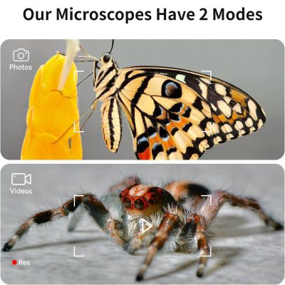 ��������� Xiaomi BeaverLAB DDL-M2 Portable (DDL-M2C) - �������� 7