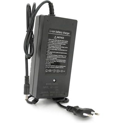 ������� �������� ���������� ��� ��� Voltronic LiFePo4 36V(43.8V), 12S, 2A (YT-3620-43820) - �������� 2