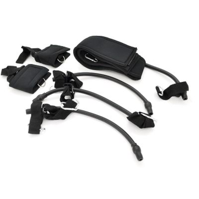 �������� Voltronic ECO ZEN ���� � ������� (EZ-DL159) - �������� 1