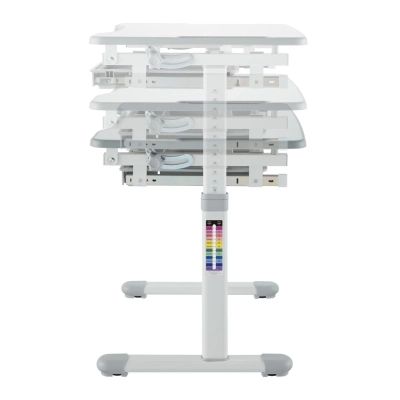 ����� �� ������ Sector �Բ�� Grey - �������� 12