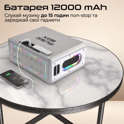 ������������ ������� HiFuture MusicBox 100W Silver (musicbox.silver) - �������� 4
