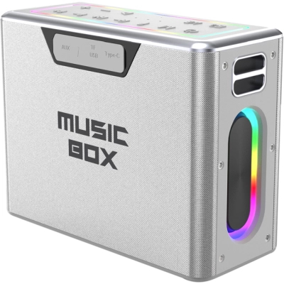 ������������ ������� HiFuture MusicBox 100W Silver (musicbox.silver) - �������� 1