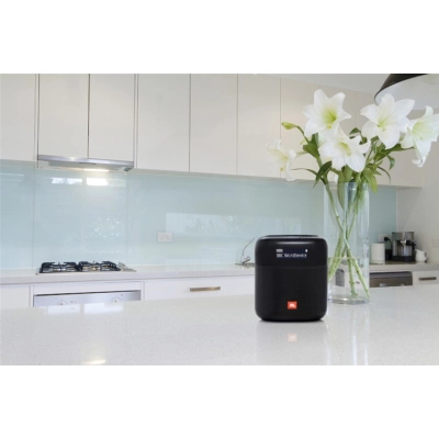 ������������ ������� JBL Tuner XL FM Black (JBLTUNERXLBLKEUNA) - �������� 10