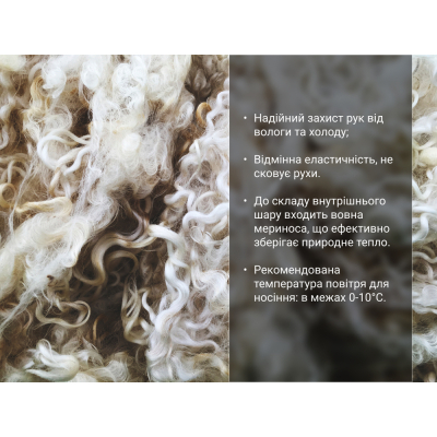 ����������������� �������� Dexshell ThermFit 3.0 Gloves ����� S (DG12402BLK-S) - �������� 12